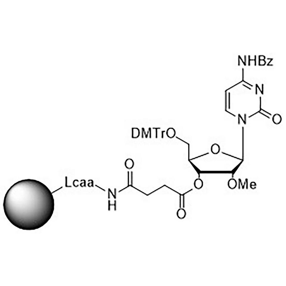 2'-O-Methyl-rC (Bz)-Suc-CPG, 500 Å, Standard Loading, 1 g